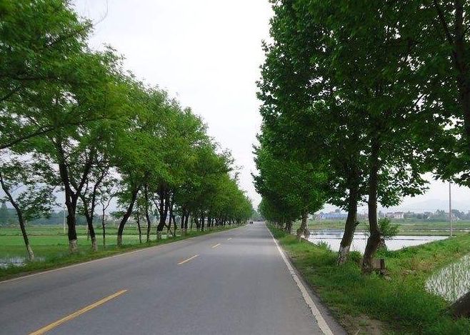 全市交通运输发展和年度计划内容,广州市交通运输规划新闻报道