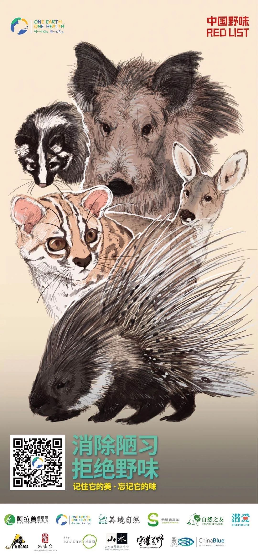 记住它们现在的模样,记住这些永不过期的食品