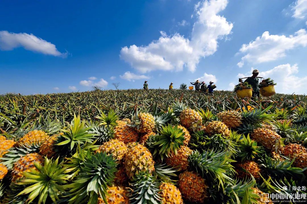 地质天文,地质地球物理学