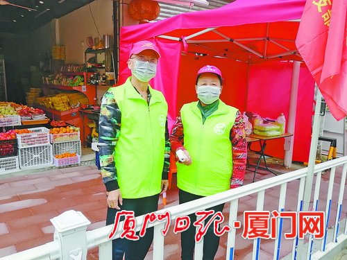 众志成城抗疫情党员志愿服务队,抗击疫情志愿服务队内容