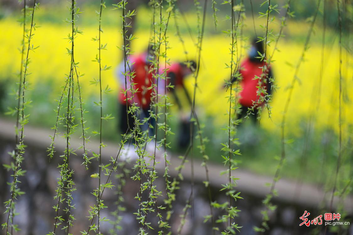 雷锋精神在疫情防控中闪烁,弘扬雷锋精神疫情防控主题党日