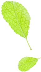 国际航行船员最新政策,关于海船船员换班最新规定