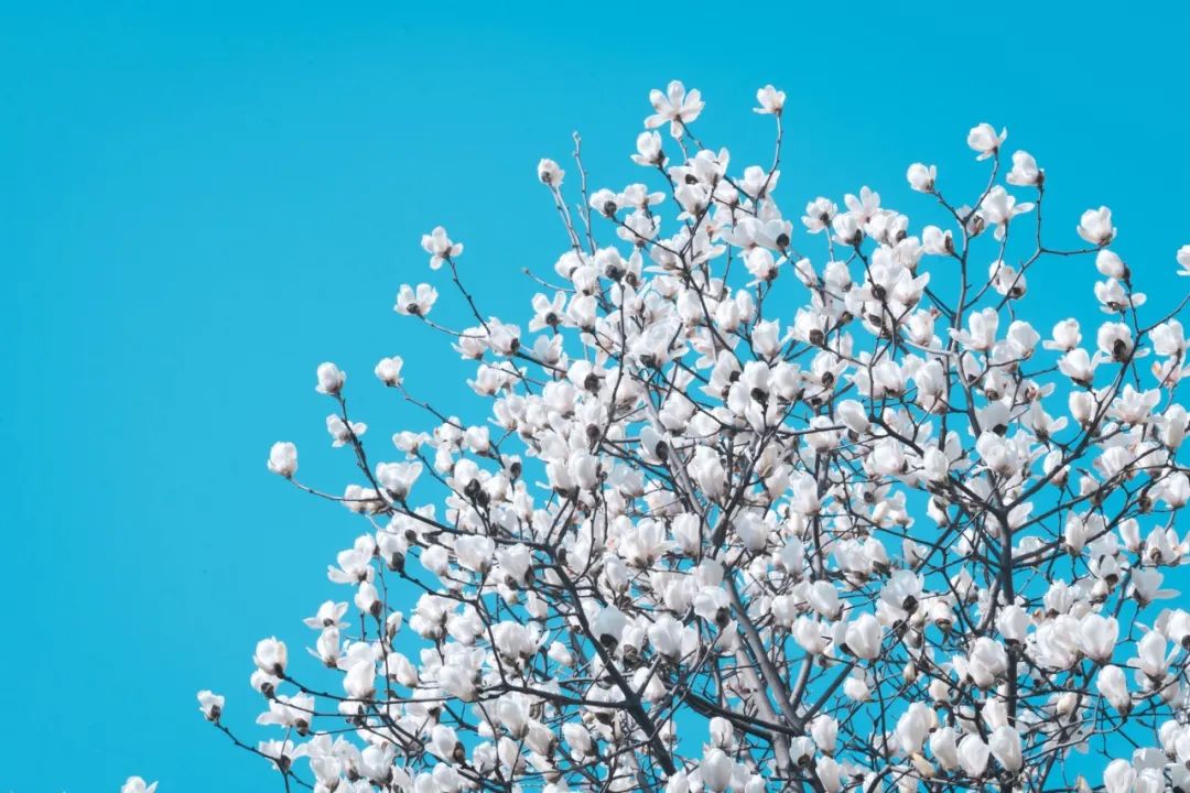 哈哈一笑烦恼全消的句子,26个幽默小短句哈哈一笑烦恼全消