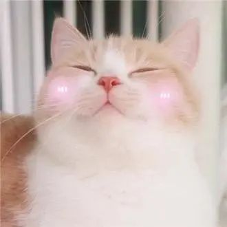 2018年王一博粉红色眼影,快来get王一博同款色号