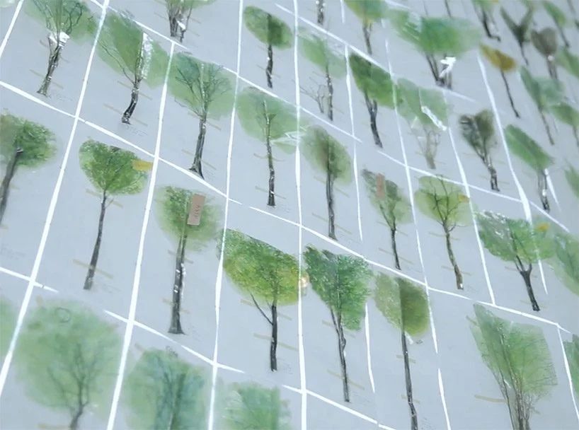 一年一度的植树,现在正在植树的视频