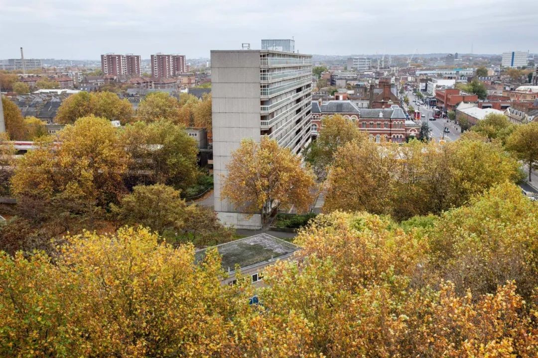 一起来植树的视频,今天适合植树吗