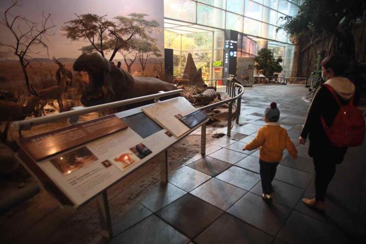 上海科技馆开放时间最新通知,上海科技馆儿童馆何时开放