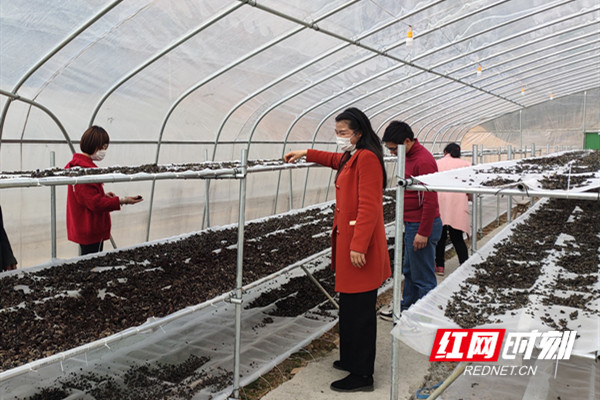 扶贫故事丨唐艳华：把时间留给村民的扶贫女队员