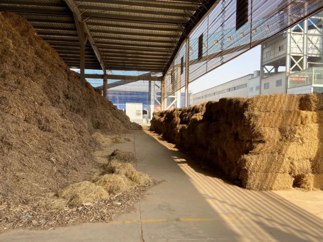 「记者行」“琦泉”：将绿色、循环进行到底