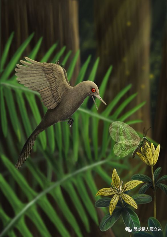 世界上最小的恐龙蛋,世界上最小的恐龙化石