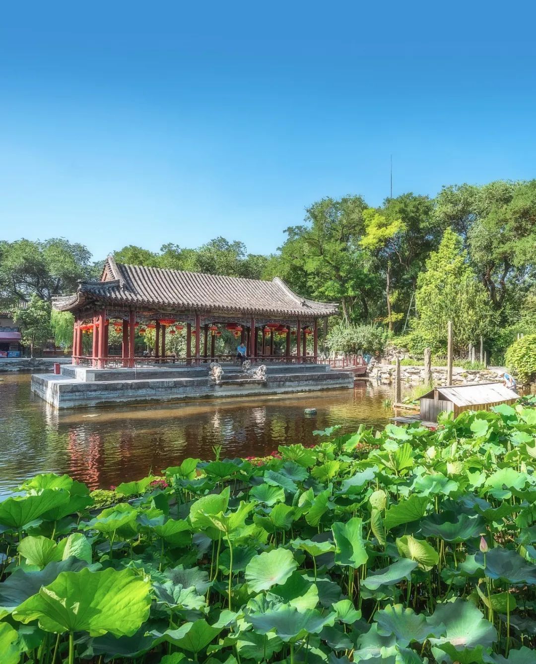 什么是四合院,什么是四合院图片大全