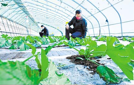 决战决胜脱贫攻坚手抄报内容图文,书写精彩脱贫答卷