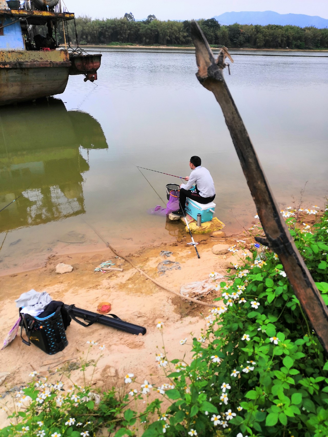 增江钓土鲮时间,增江土鲮爆护