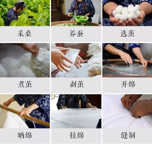 蚕丝被公告,蚕丝被曝光事件