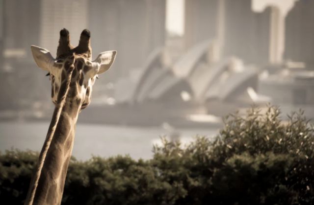 过敏是怎么引起的发病机制,发生过敏怎么办