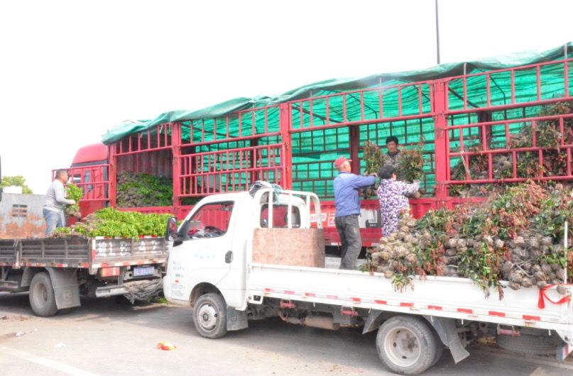 拓宽农产品销售渠道措施,拓宽业务销售渠道