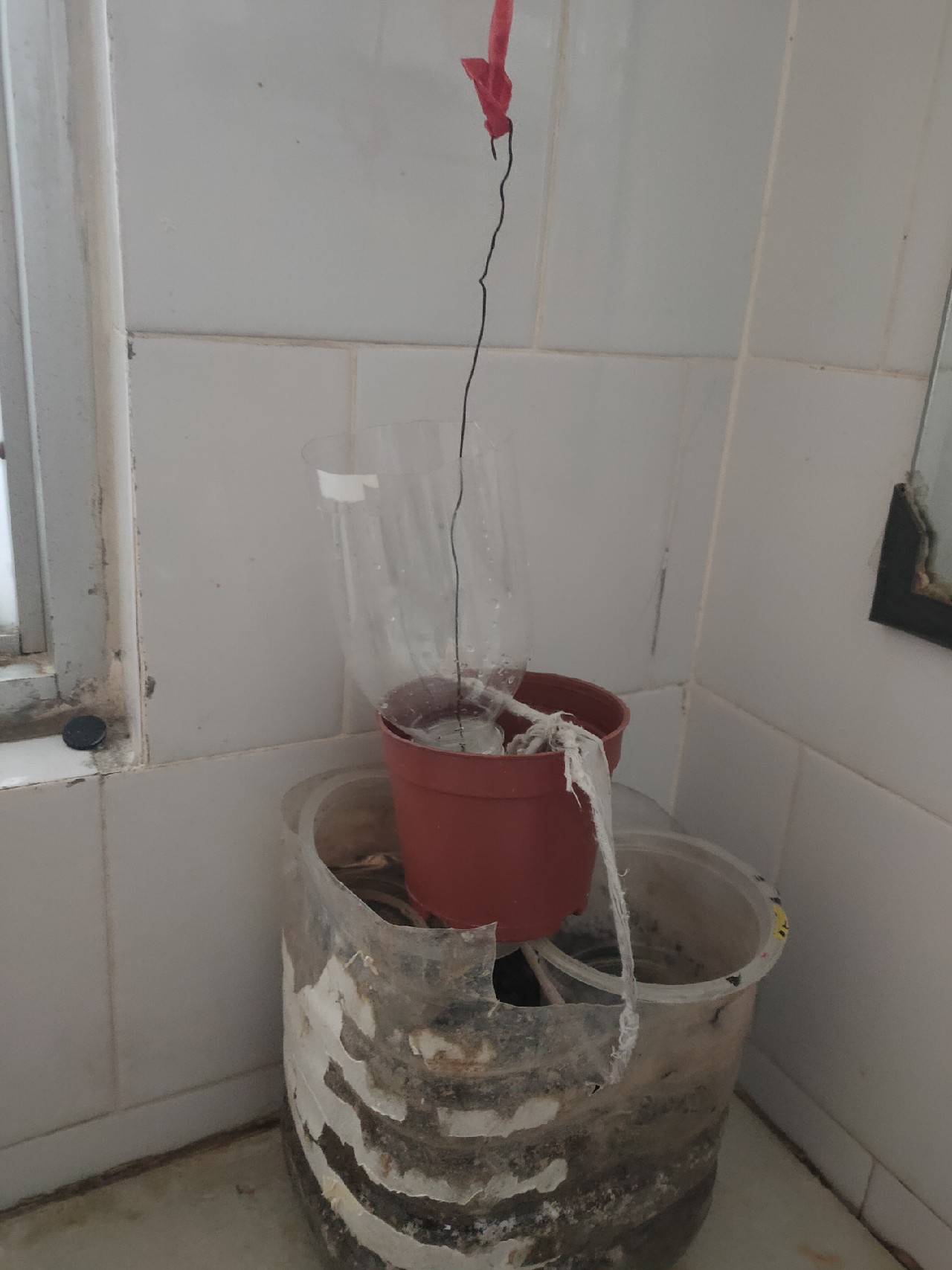 自制蚯蚓专用工具,自制红虫养殖器