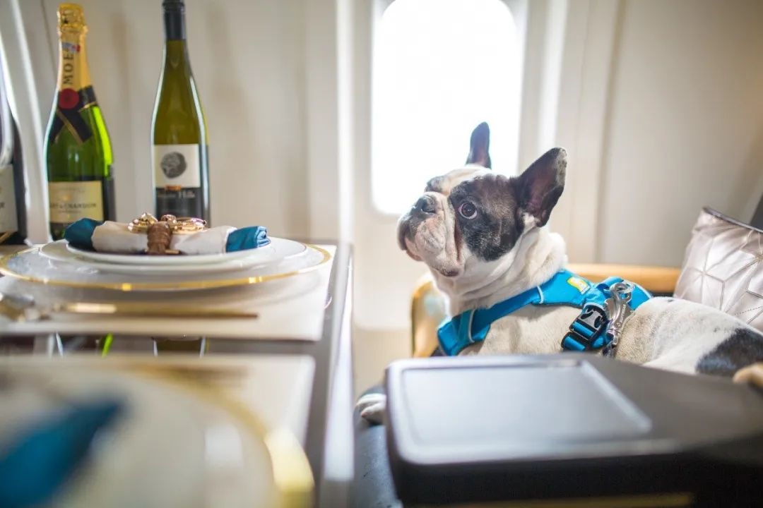 现在包一架飞机居然可以跟订机票一样简单