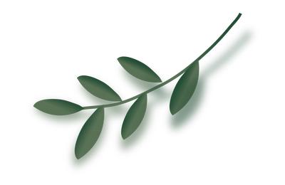 南昌现在开放的地方,南昌预计什么时候全面开放