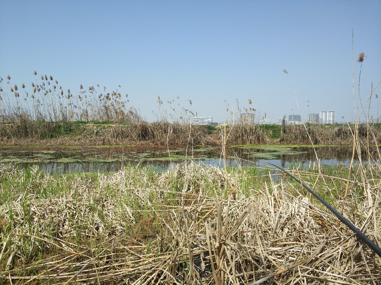 阳春三月秋高气爽,阳春三月太阳暖洋洋的