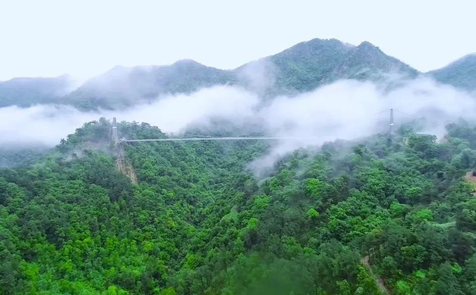 佛山黄岐文体中心最新进展,佛山最新景区活动