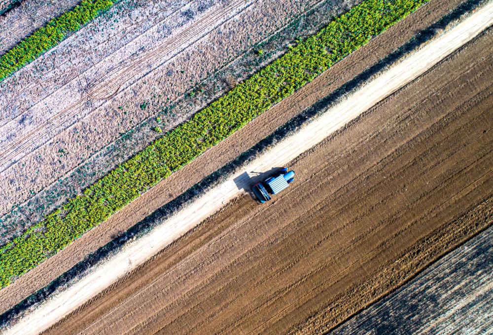坚持不懈坚决打赢疫情防控阻击战,抗击疫情风雨无阻我们必胜