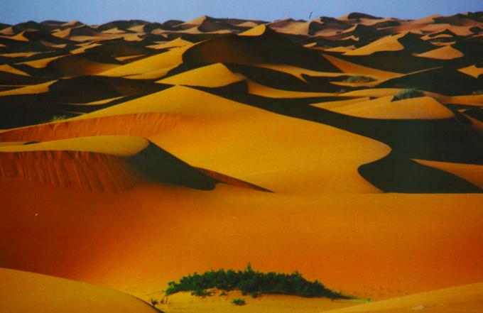 沙坡头骑骆驼游记,宁夏沙坡头旅游攻略
