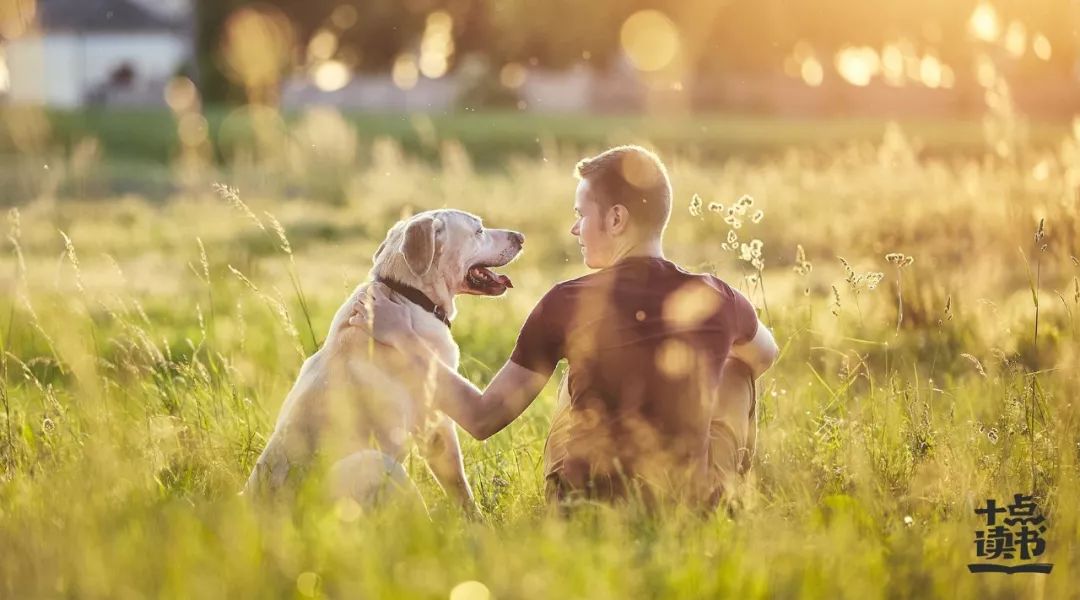 《巴别塔之犬》：什么才是婚姻最好的模样？