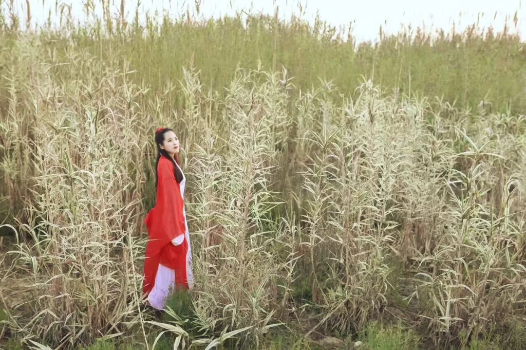 仙境意境空灵飘渺山水画,鲁山最美的山水画