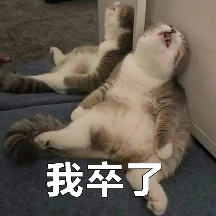 淘宝评论区有什么坑,淘宝评论区有多少个段子