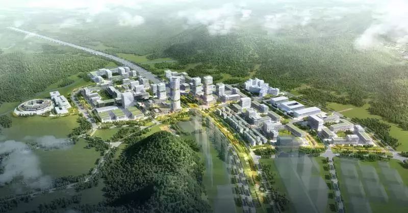 你敢买光明吗?7万泡沫有多大,未来能到多高?