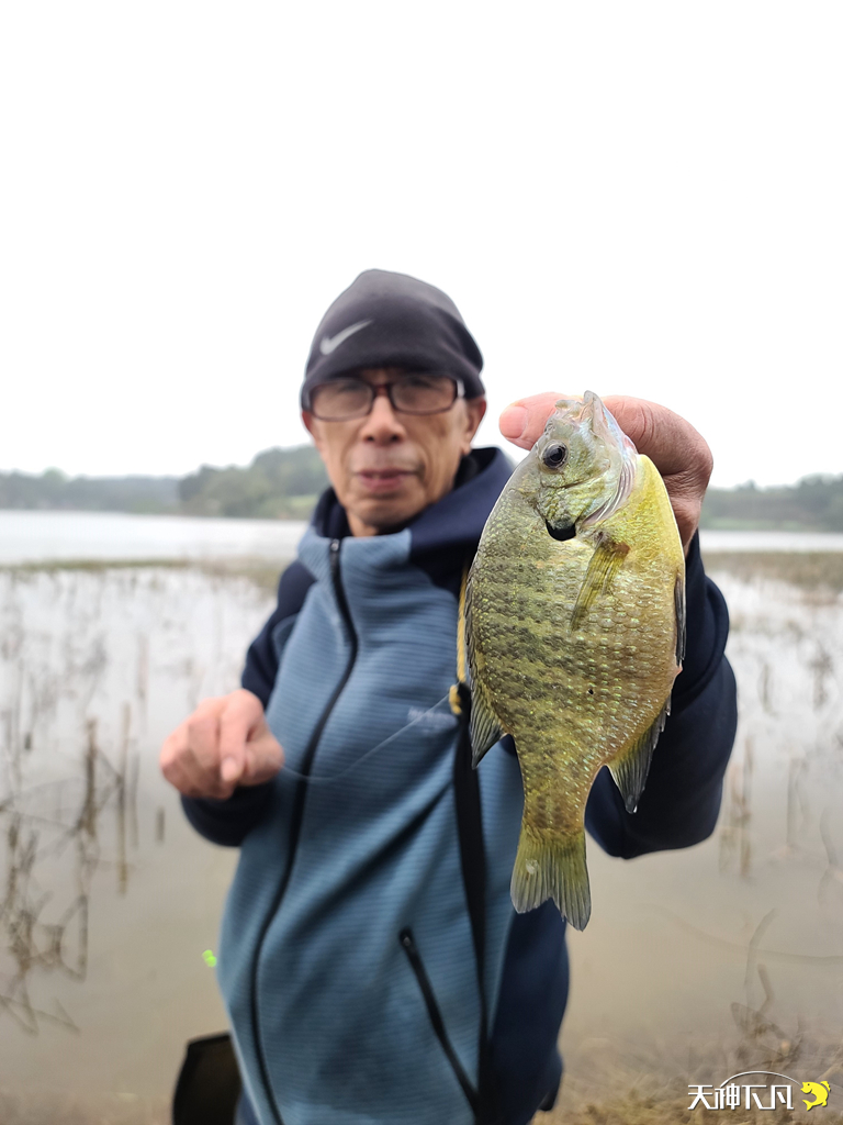 凤凰涅盘浴火重生对火的崇拜,凤凰涅盘浴火重生需要的是勇气