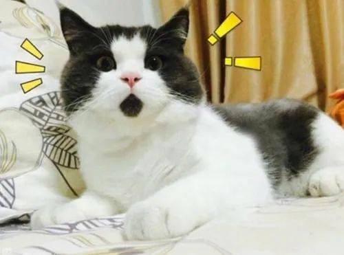 设计师接私活公司怎么处理,平面设计师怎么在网上接私活