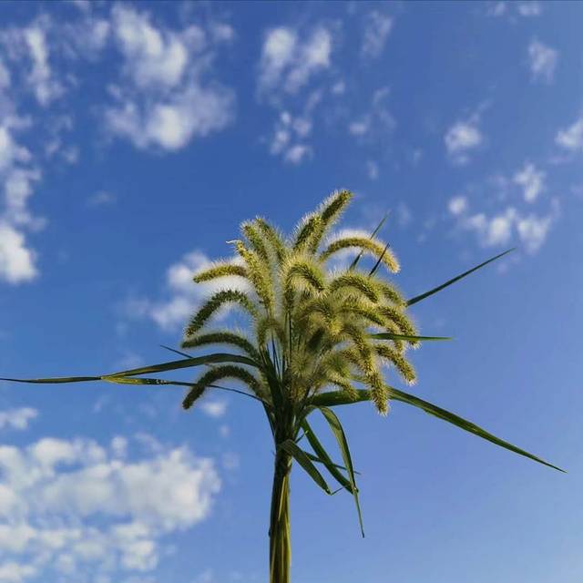 南北疆深度环线8日游,南北疆30天旅游攻略