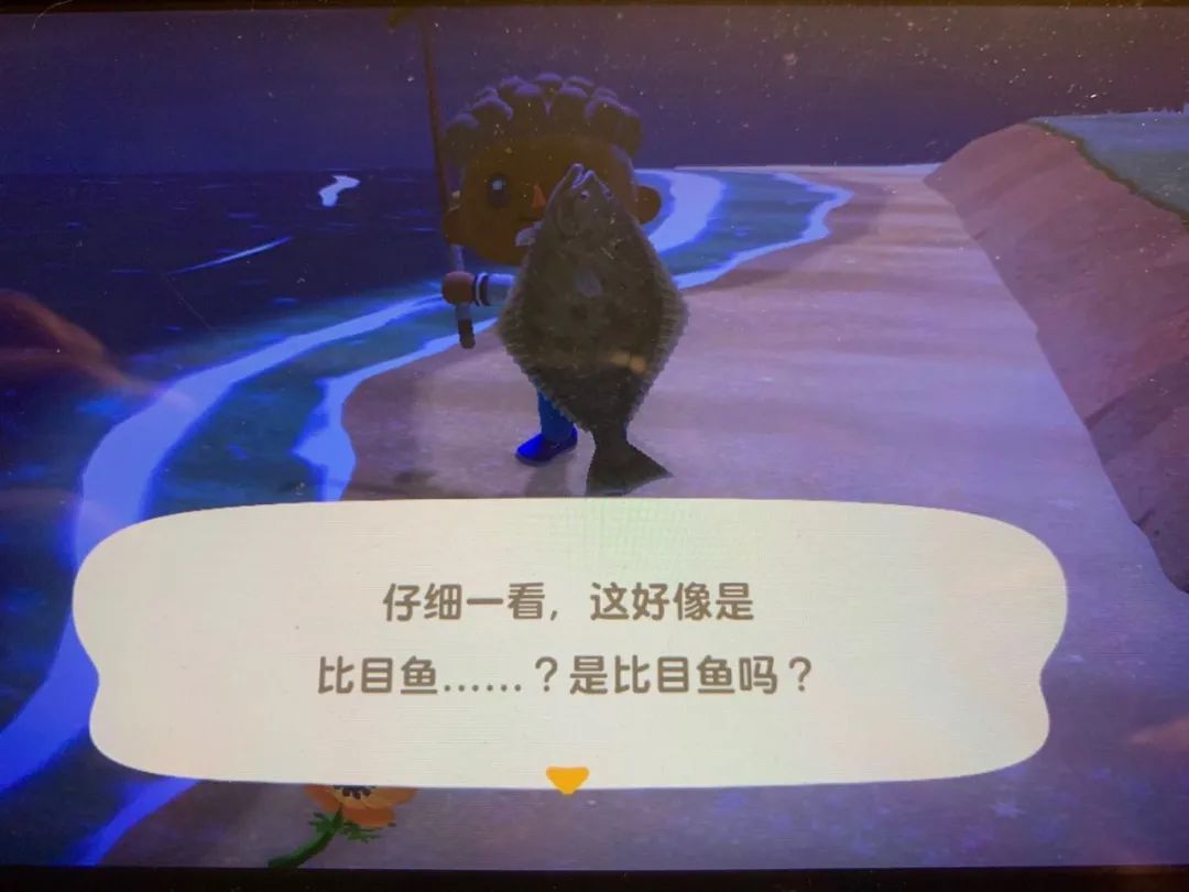 动森能钓黑鲈鱼吗,动森黑鲈鱼出现时间