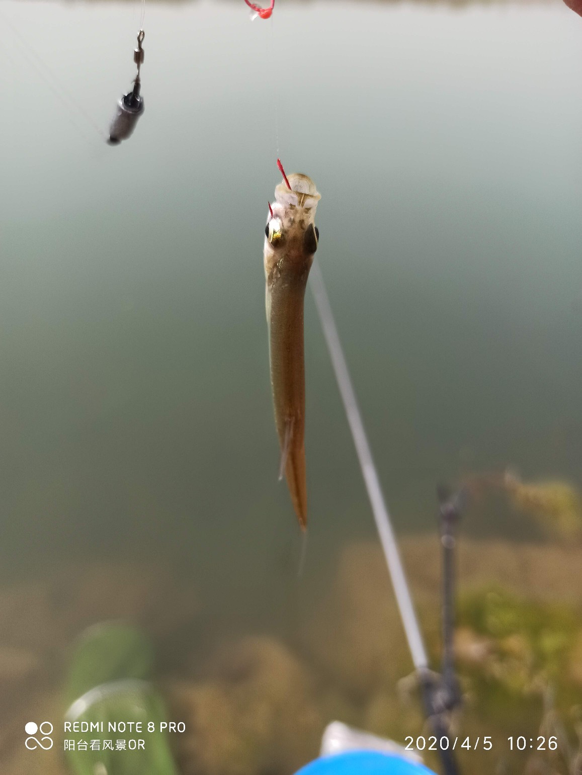 5.4鱼竿碰到大鱼老切线,5.4米鱼竿不适合野钓吗