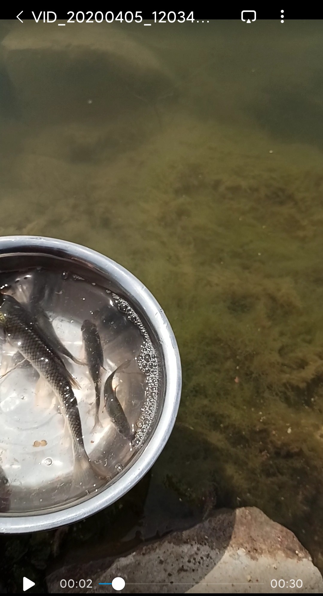 5.4鱼竿碰到大鱼老切线,5.4米鱼竿不适合野钓吗