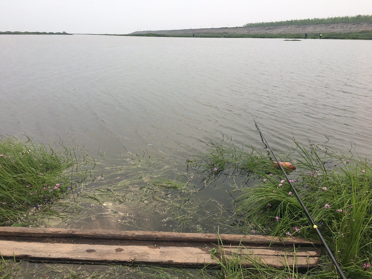 锵锵三人行余秀华读诗,锵锵三人行马未都邓亚萍