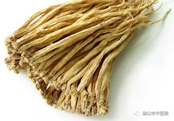 石斛灵芝天麻茶的功效,石斛枸杞灵芝煲汤的功效