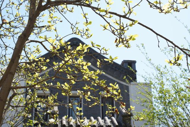 赵子琪晒娃日常,赵子琪晒娃视频完整版