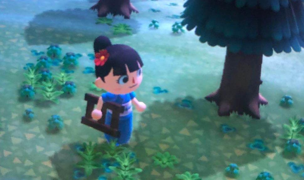 动森赚钱,动森赚200万要多久