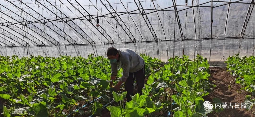 三大会战简介,三大会战方案