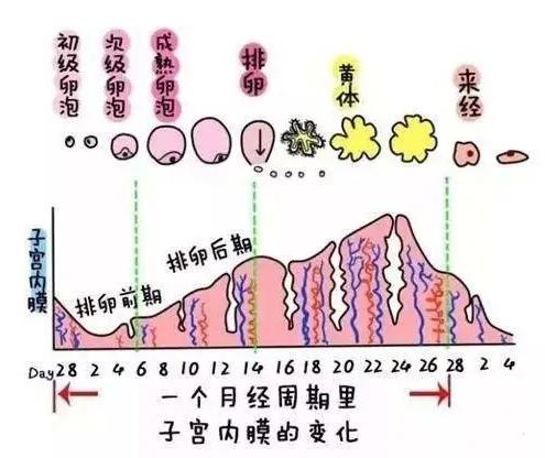 同房后直接进了手术室...妇产科医生的这句忠告，不得不听