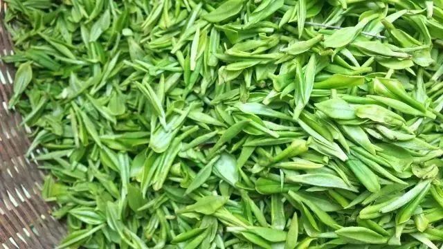 喝一口就忘不了的特级明前龙井,一年一次的明前龙井怎能错过