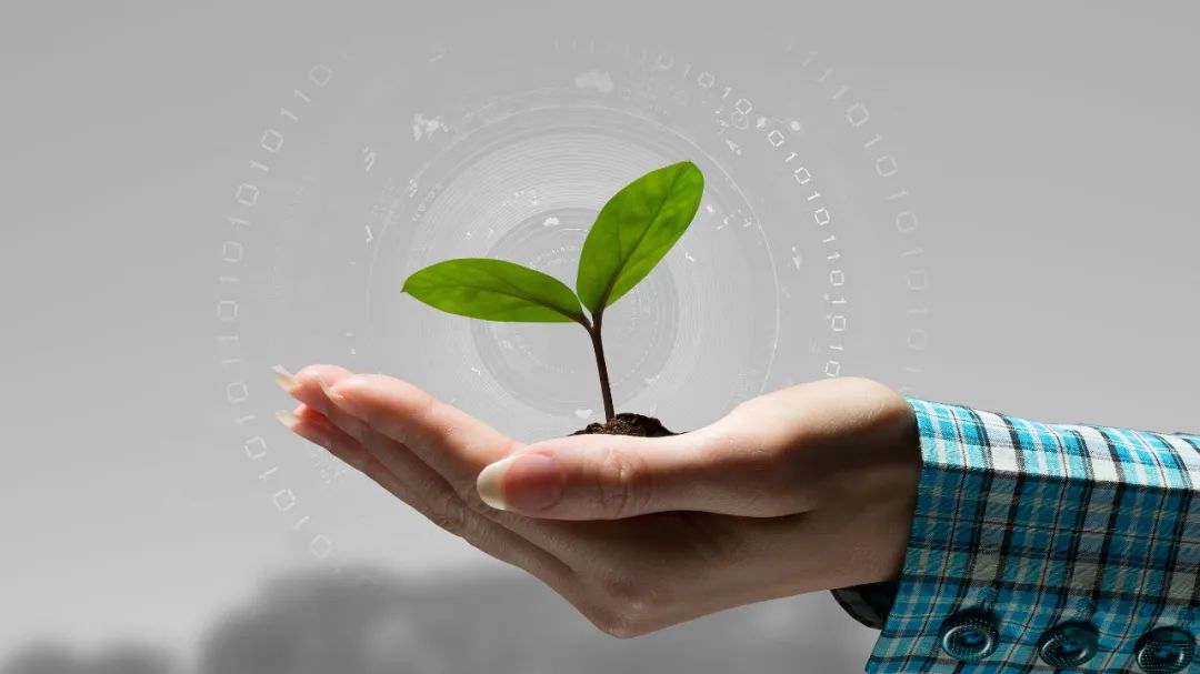 被网上人肉了怎样报警,网上被人肉如何举报