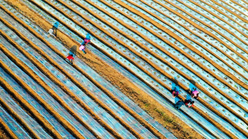 经济日报乡村文化振兴,经济日报关于脱贫攻坚的成就
