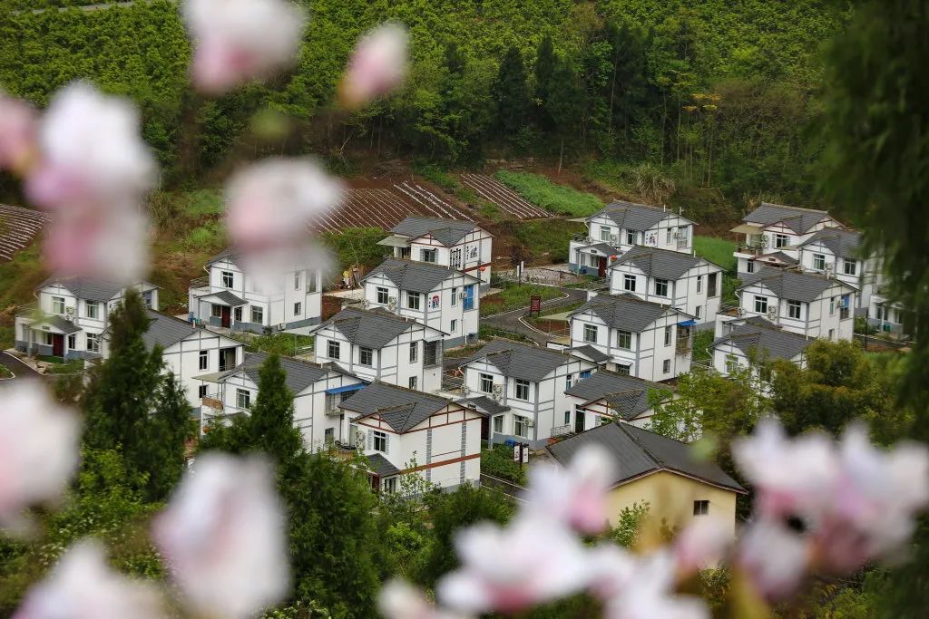 遂宁乡村振兴第一村拱市村,遂宁脱贫攻坚战