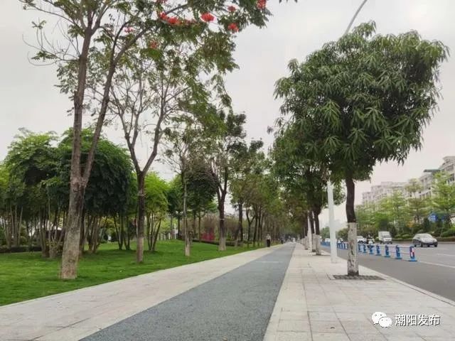 汕头市金砂东路属于什么区,最新汕头道路改造