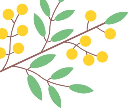 花漾秦淮|最是一年春好处，木香盛放醉秦淮