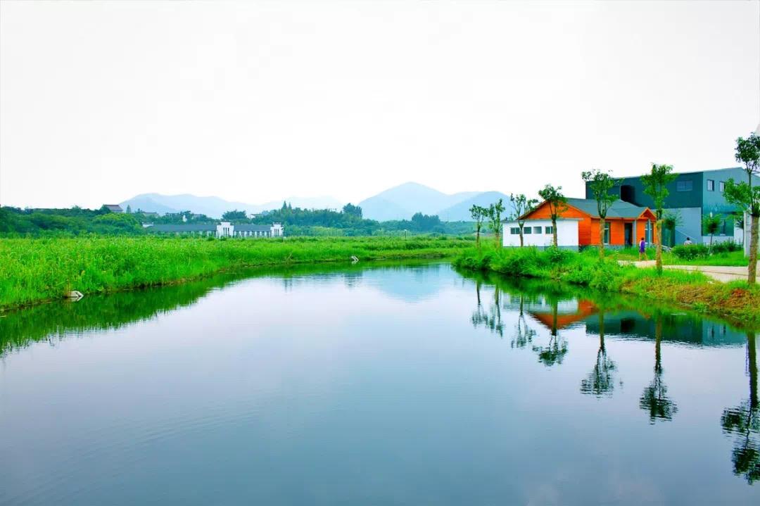 常州周末旅游景点推荐,常州最美乡村
